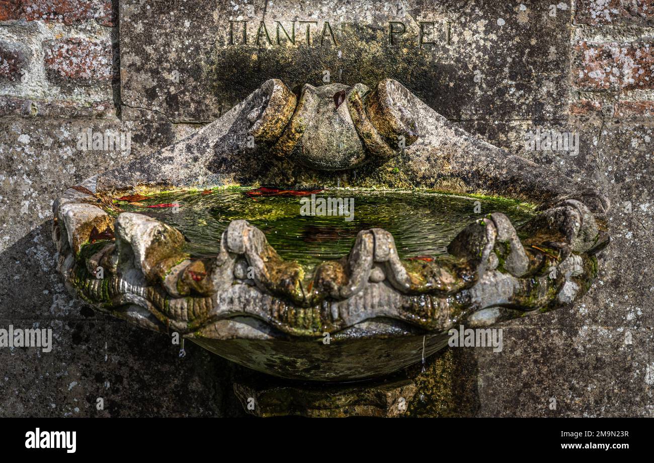 Lavandino in pietra medievale con acqua pulita in un vecchio giardino autunnale in Irlanda Foto Stock Lavandino in pietra medievale con acqua pulita in un vecchio giardino autunnale in Irlanda Foto Stock