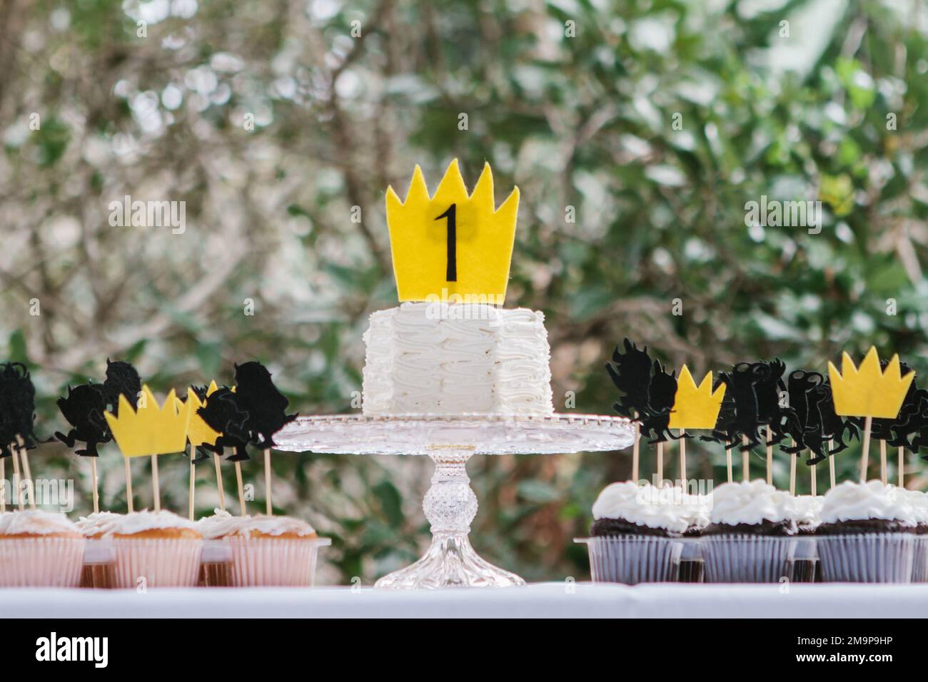 Torta e cupcakes per dove le cose selvagge sono a tema prima festa di compleanno Foto Stock