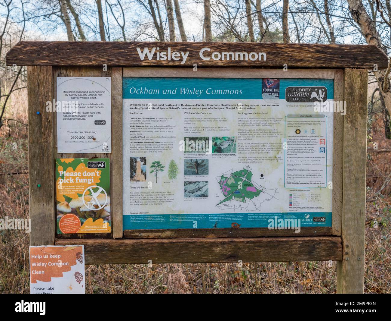 Pannello informazioni visitatori accanto al parcheggio principale su Wisley Common, Woking, Surrey, Regno Unito. Foto Stock