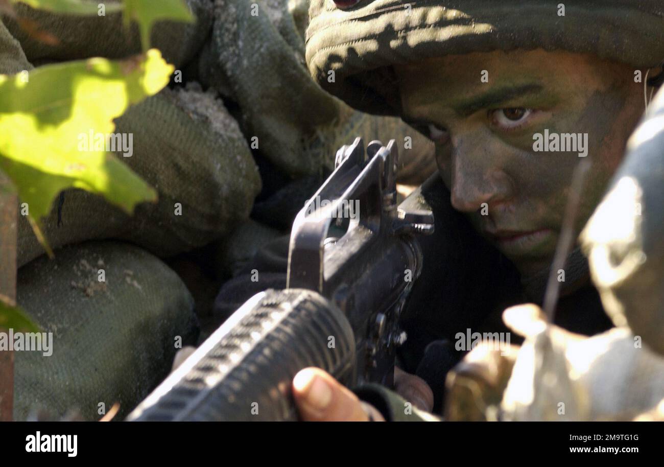 030923-F-0193C-001. Base: Fort Jackson Stato: South Carolina (SC) Paese: Stati Uniti d'America (USA) Scene Major Command mostrato: AMC Foto Stock