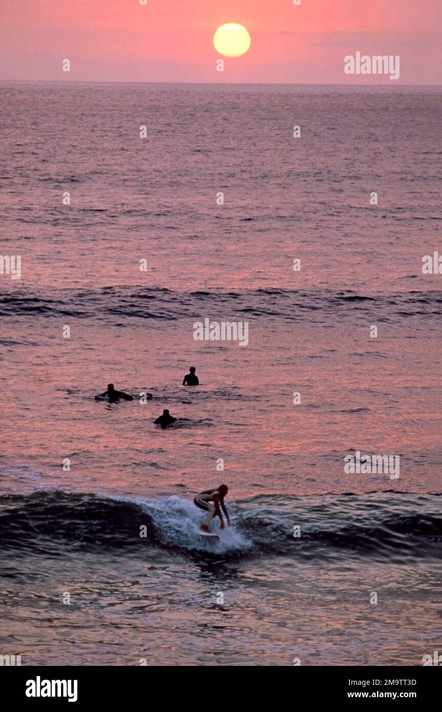 Surfers sulla spiaggia sulla costa della California meridionale. Foto Stock