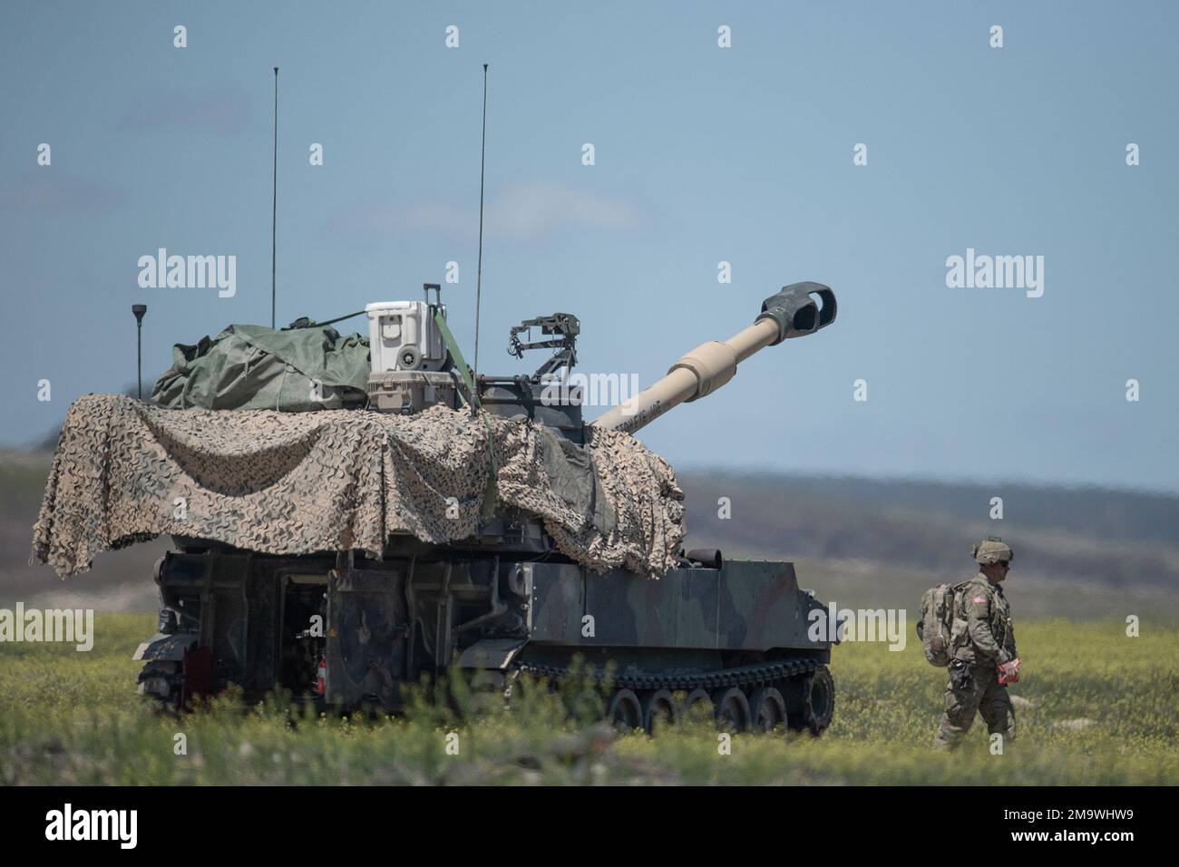 Guardie della brigata di artiglieria di cavalleria immagini e