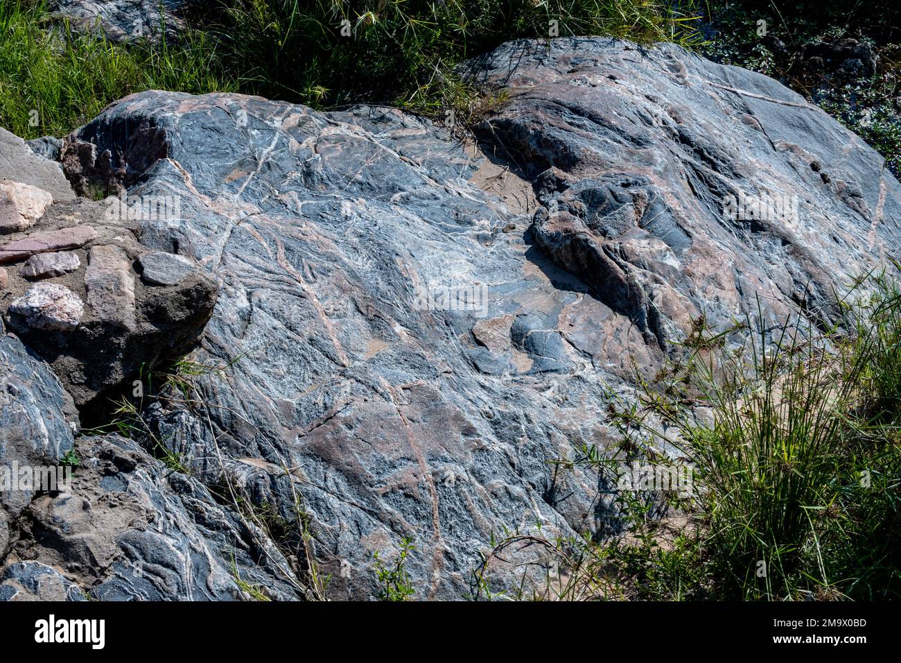 Affioramento roccioso di gneiss Archean. Kruger National Park, Sudafrica. Foto Stock