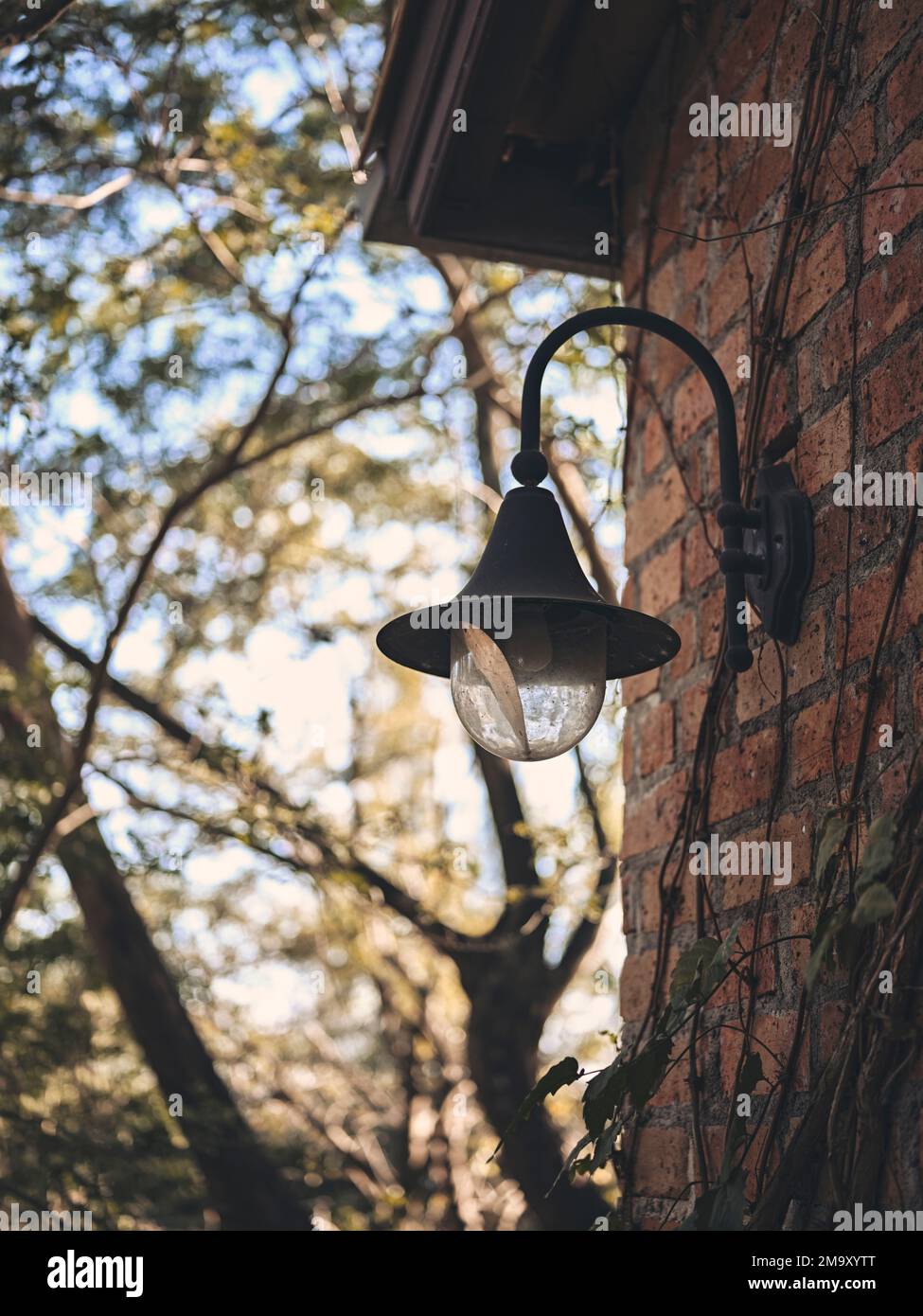 Giardino Lanterne Casa decorare sulla parete con luce del sole e sfondo natura . copia spazio per il testo Foto Stock