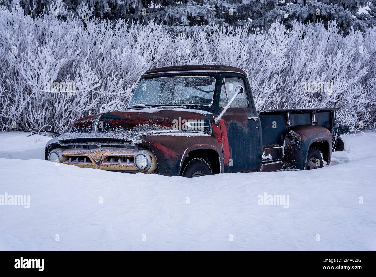 Un camion d'epoca coperto di rime gelo e sepolto nella neve nella campagna Saskatchewan Foto Stock
