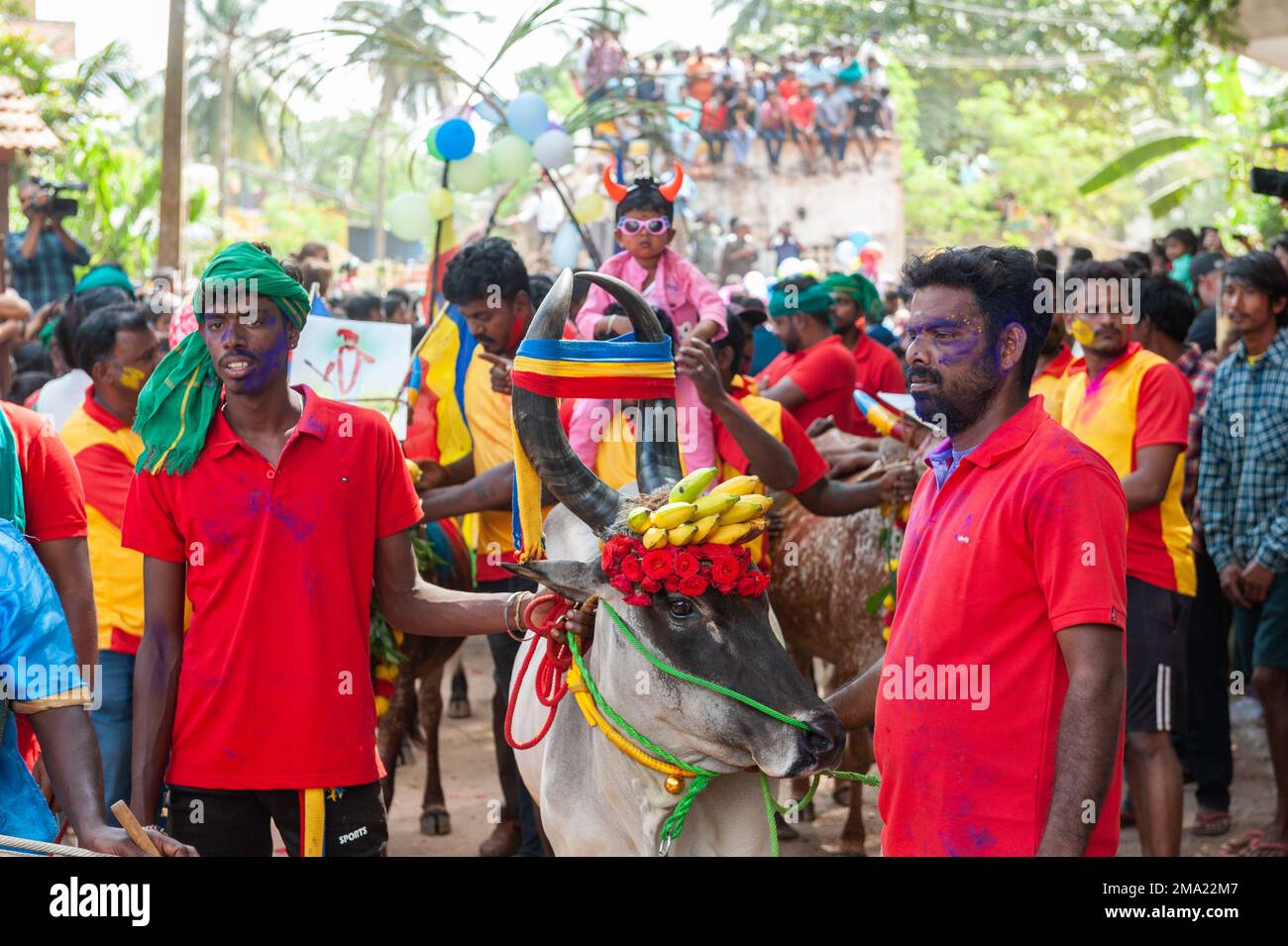 Kuilapalayam, India - 17th gennaio 2023: Pongal Festival. La parata nel villaggio prima della corsa della mucca. Foto Stock