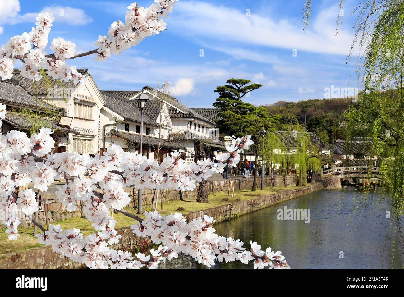 Vecchie case e fiori sakura, canale Kurashiki nel quartiere Bikan, città Kurashiki, Giappone. Festival giapponese hanami - tempo in cui la gente gode sakura blos Foto Stock