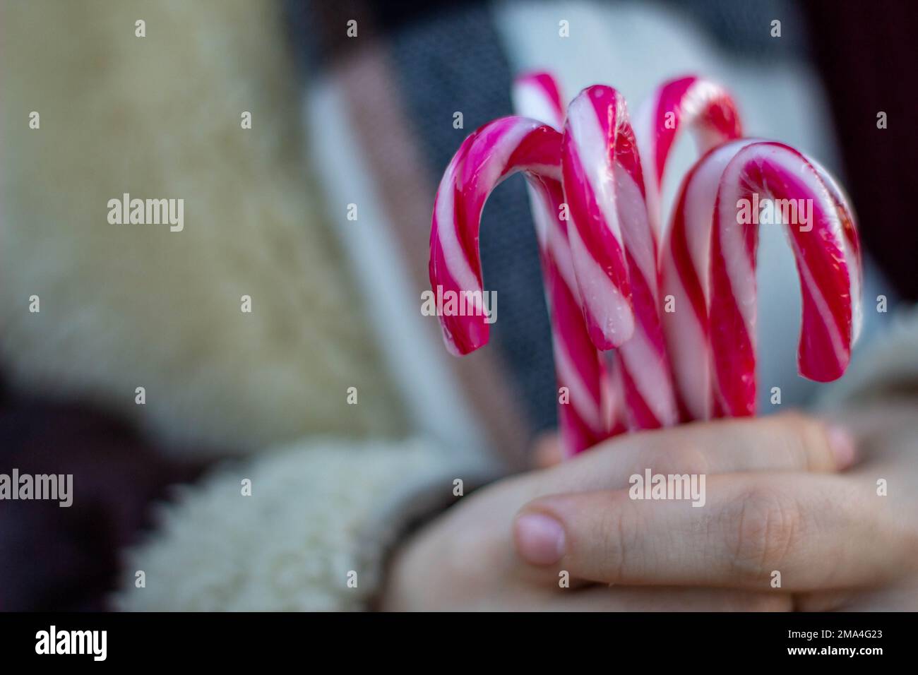 Donna che consegna canne di caramelle natalizie ai bambini attraverso le strade di Madrid ben avvolto in cappotto e sciarpa con maglione di lana. Foto Stock