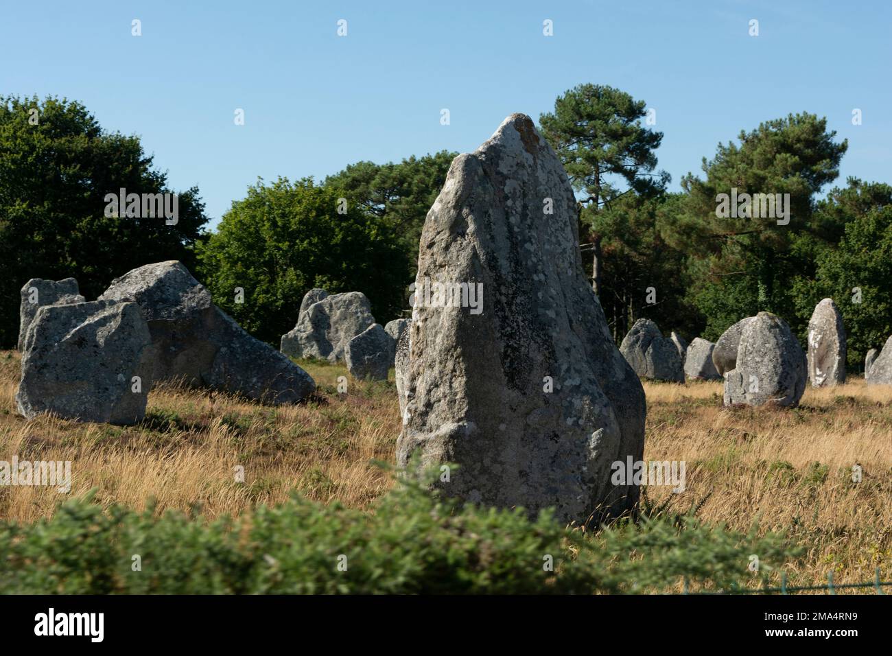 Pietre di Carnac (siti megalitici). Allineamenti le Ménec. Comune di Carnac. Dipartimento di Morbihan. Bretagna. Francia Foto Stock
