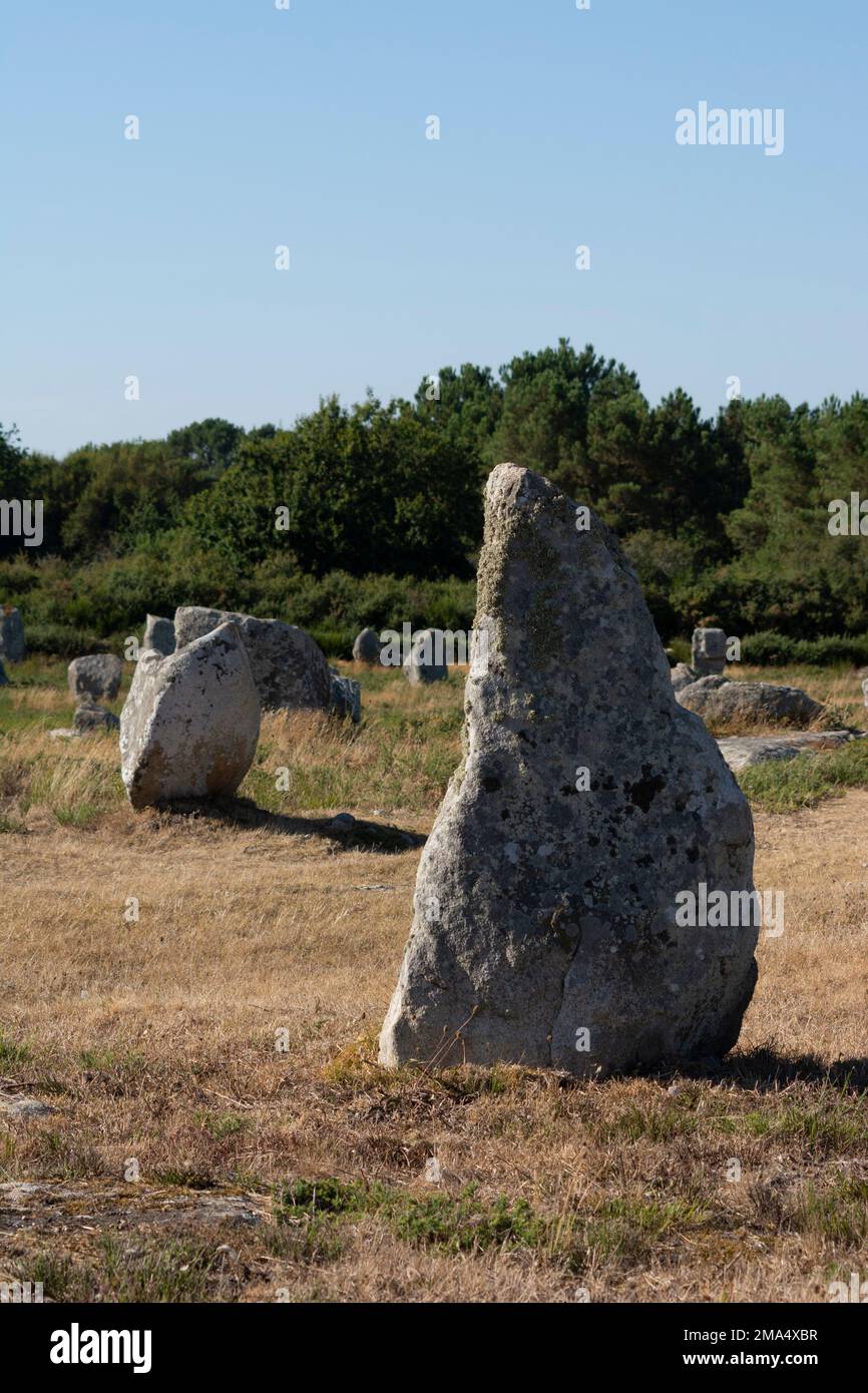 Pietre di Carnac (siti megalitici). Allineamenti le Ménec. Comune di Carnac. Dipartimento di Morbihan. Bretagna. Francia Foto Stock