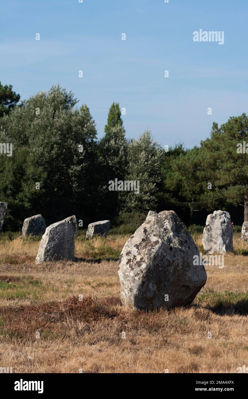 Pietre di Carnac (siti megalitici). Allineamenti le Ménec. Comune di Carnac. Dipartimento di Morbihan. Bretagna. Francia Foto Stock