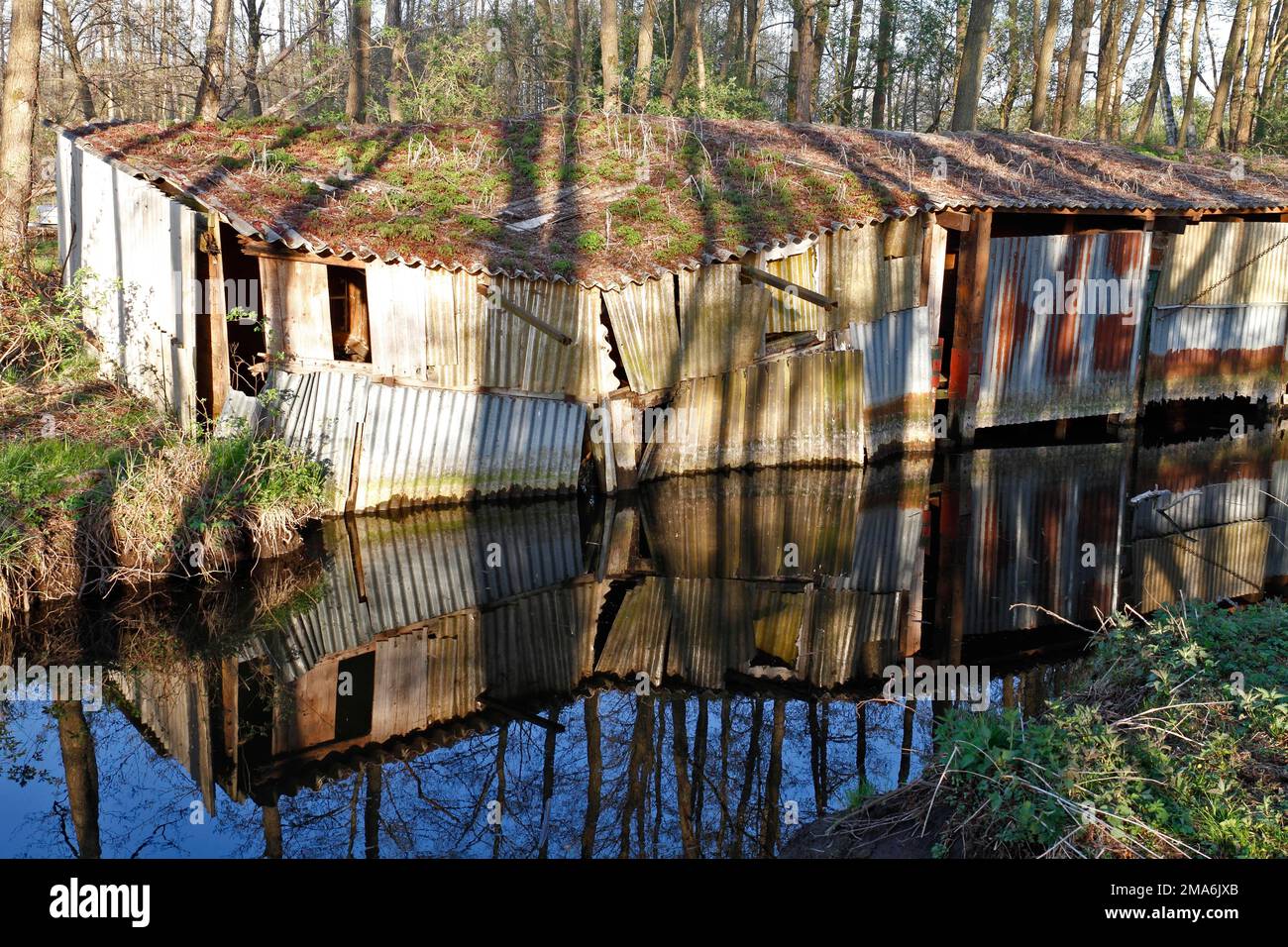 Capannoni dilapidati, infrastrutture fatiscenti per imbarcazioni, luoghi perduti, Naturpark Flusslandschaft Peenetal, Meclemburgo-Pomerania occidentale, Germania Foto Stock