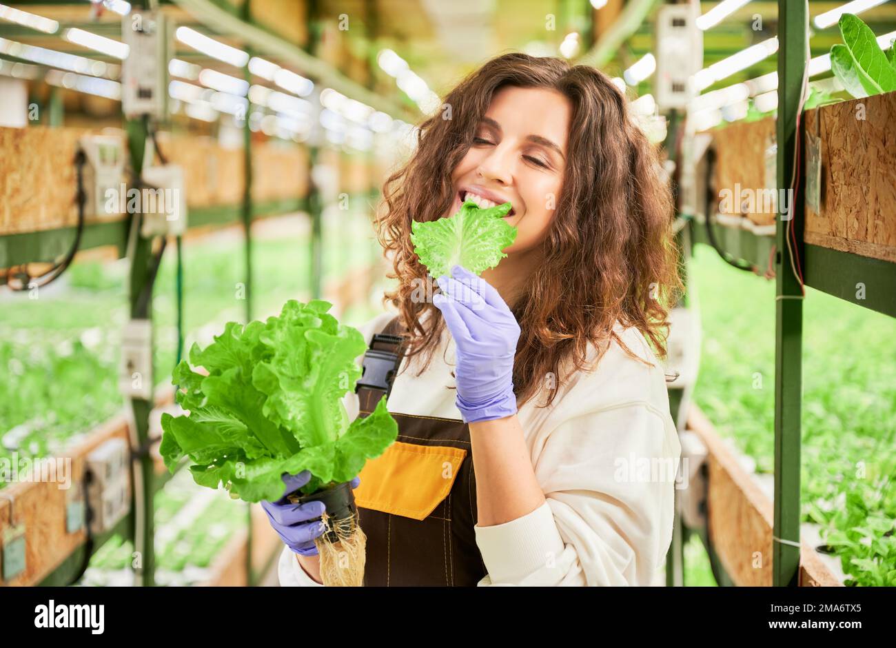 Sorridente ragazza giardiniere mangiare lattuga fresca pianta e chiudere gli occhi dal piacere. Giovane donna gioiosa in guanti da giardino degustazione verdi frondosi in serra. Foto Stock