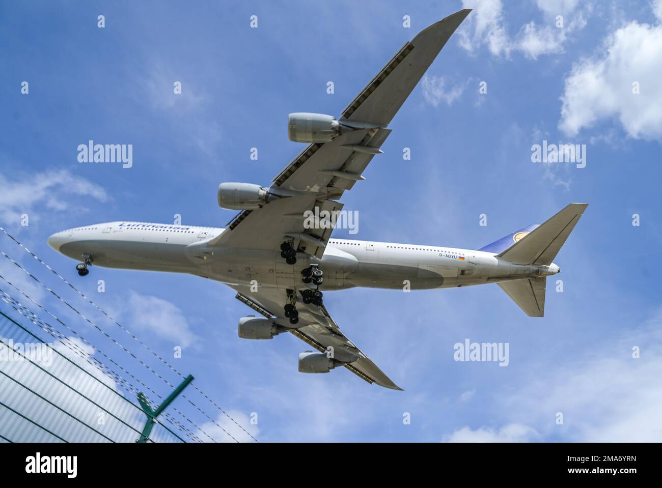 Atterraggio di avvicinamento aereo jumbo jet Lufthansa Boeing 747-830, aeroporto, Francoforte sul meno, Assia, Germania Foto Stock