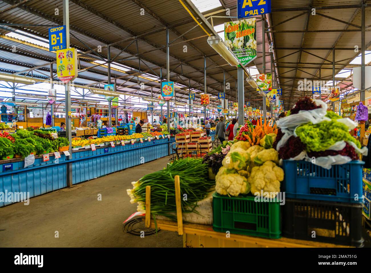 Mercato Centrale, Kaliningrad, bancarelle, commercianti, cibo, Frutta, verdura, prezzi, scatole, Kaliningrad, Russia, Kaliningrad Oblast, Russia Foto Stock