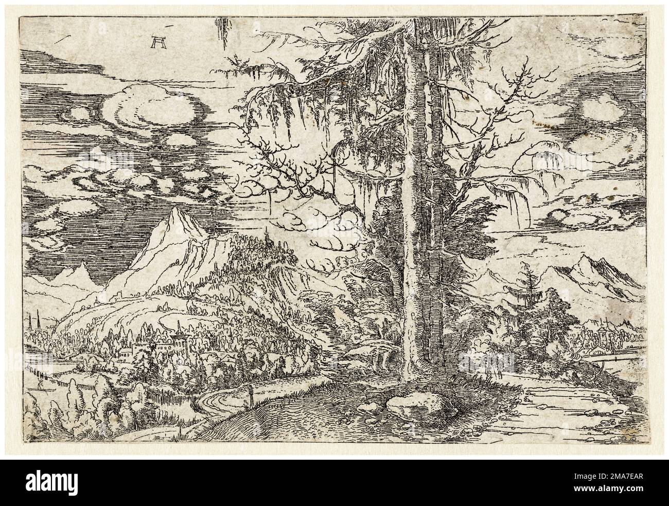Albrecht Altdorfer, Paesaggio con doppio Spruce, incisione, 1506-1522 Foto Stock