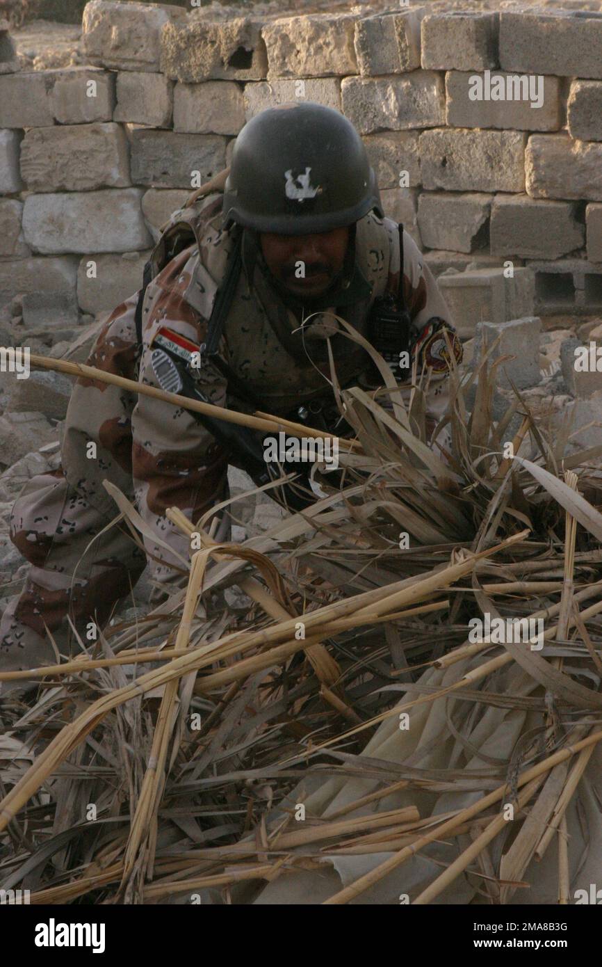 060316-M-0374B-024. [Completa] Scene Caption: Il 16 marzo 2006, un soldato iracheno con 2nd battaglione, 4th Brigata, 1st Divisione, scava attraverso ramoscelli e sporcizia mentre pattugliava attraverso l'area del fiume Eufrate a Fallujah, Iraq. Sono alla ricerca di gabbie di armi e di tutti gli oggetti che potrebbero essere utilizzati per realizzare dispositivi esplosivi improvvisati (IED) durante l'operazione California Dreaming. RCT-5 è schierato con i MEF a sostegno dell'operazione Freedom nella provincia di Anbar in Iraq (MNF-W) per sviluppare le forze di sicurezza irachene, facilitare lo sviluppo dello stato di diritto ufficiale attraverso il refo di governo democratico Foto Stock