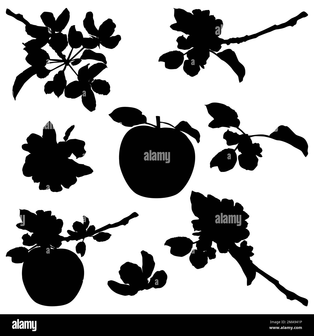 Silhouette in fiore di Apple. Ramoscelli di alberi da frutto con fiori, illustrazione vettoriale Illustrazione Vettoriale