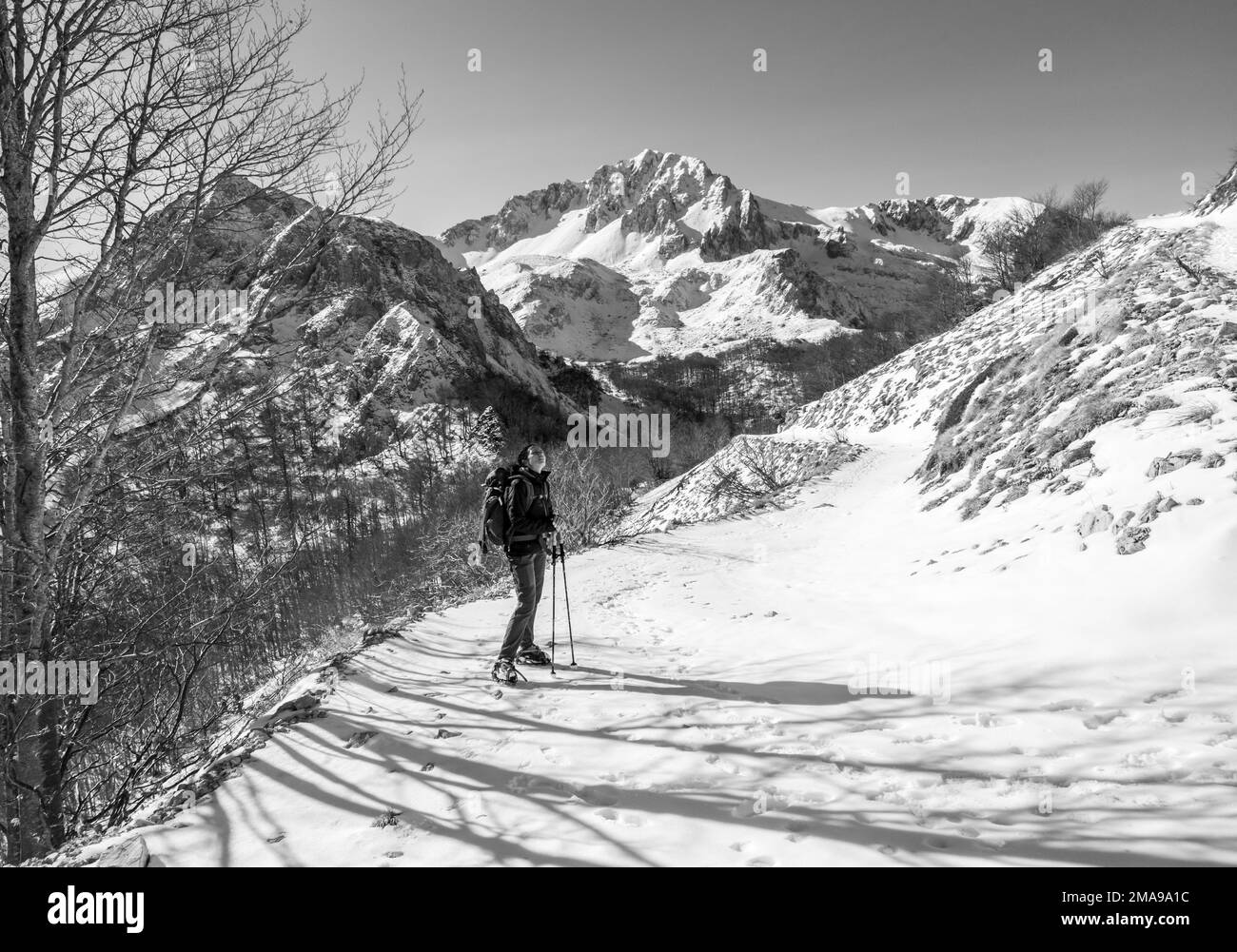 Rieti (Italia) - la cima del Monte di Cambio, a fianco di Terminillo, durante l'inverno con la neve. Più di 2000 metri, nei Monti Reatini, Appennini. Foto Stock