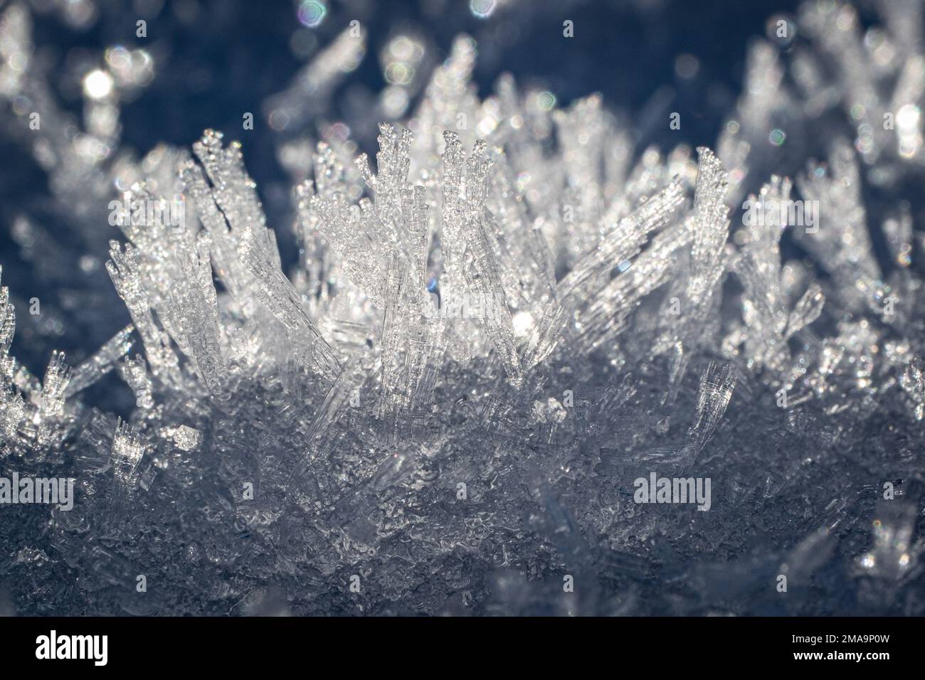 Primo piano dei cristalli di gelo Foto Stock