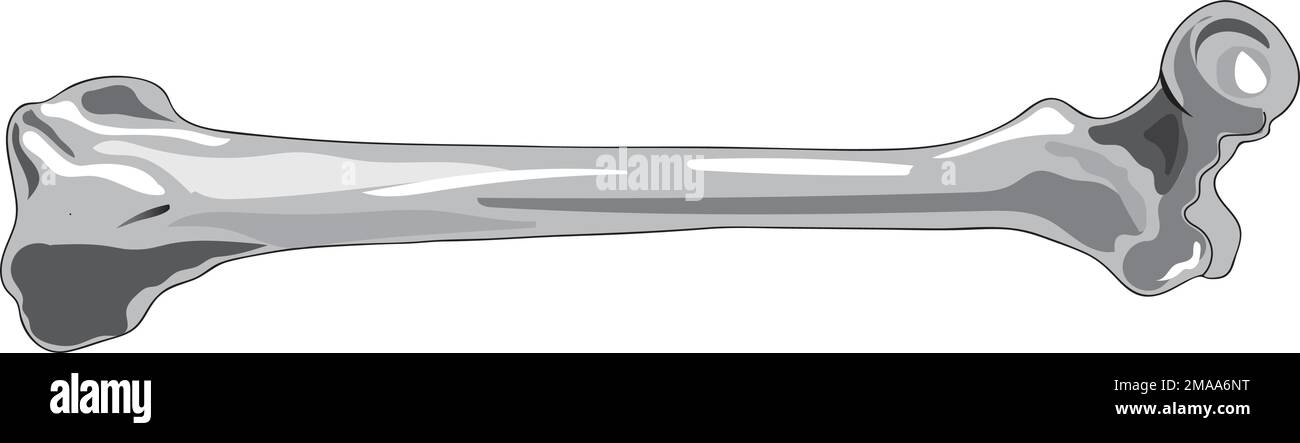 pace dell'illustrazione del vettore dell'osso del gomito Illustrazione Vettoriale
