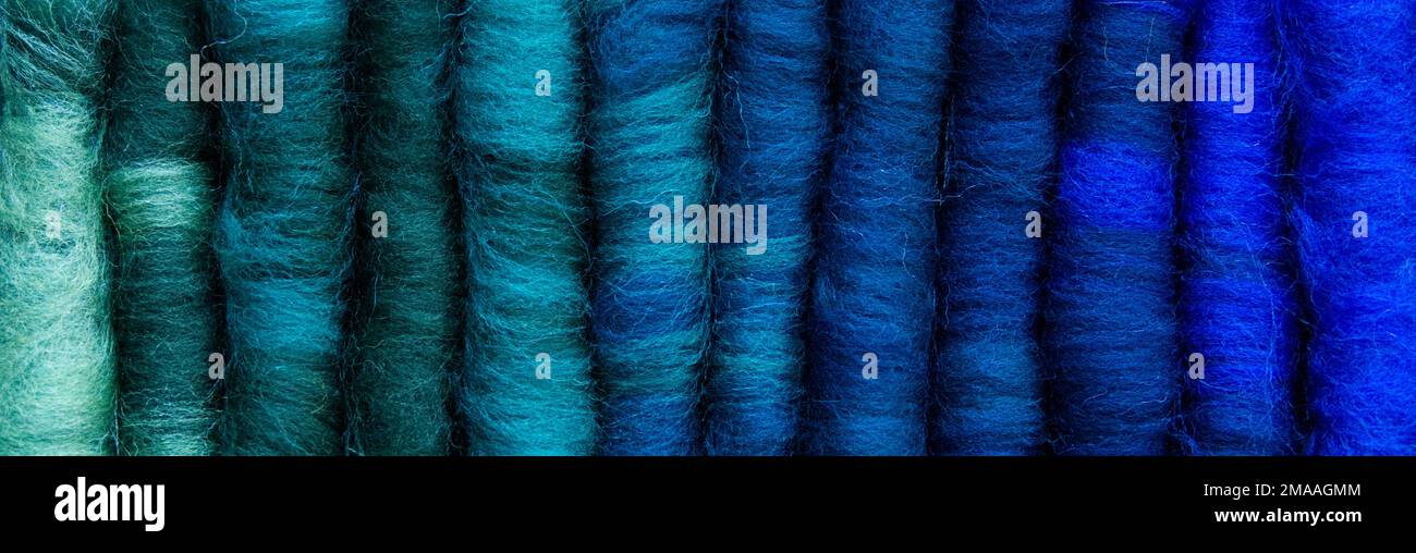 Una fila di 12 stracci in lana merino fatti a mano, allineati per mostrare il gradiente di colore dal verde al turchese al blu. I panni sono utilizzati per la filatura del filato di lana. Foto Stock