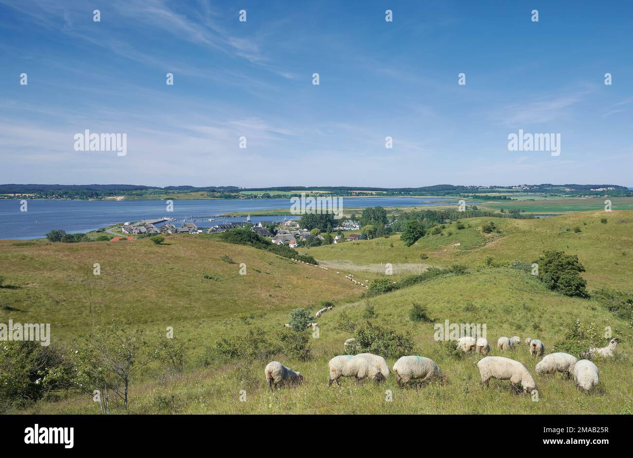 Vista al villaggio di Gager, Moenchgut Riserva Naturale, Ruegen, mar baltico, Germania Foto Stock