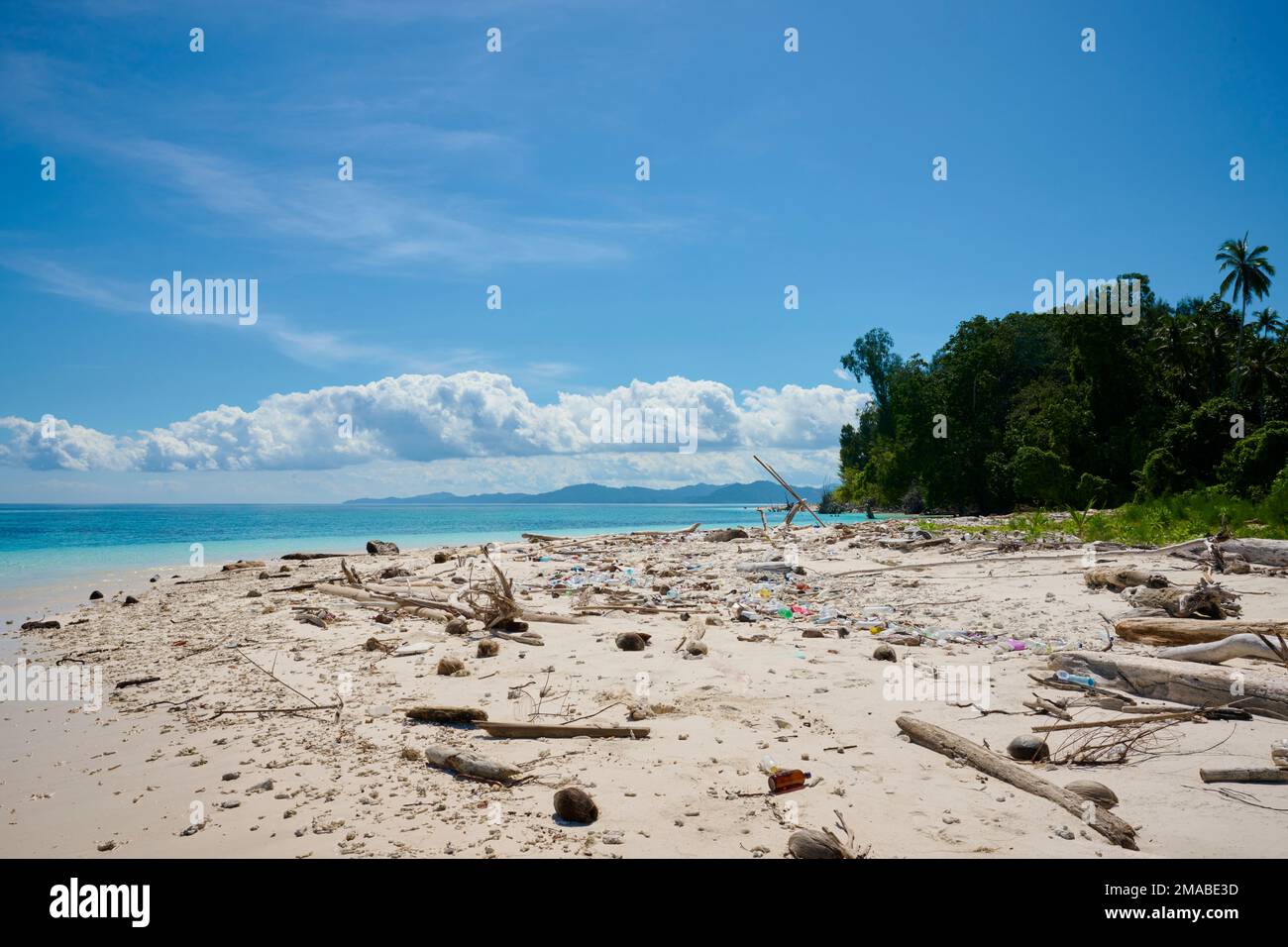 La triste verità di come la plastica finisce sulle spiagge del mondo dopo essere stato gettato via. Foto Stock