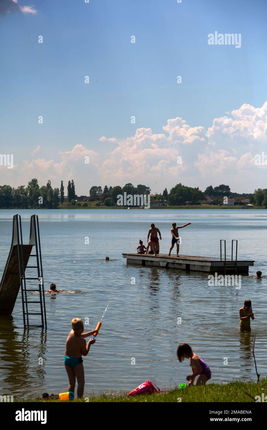 05.06.2016, Germania, Meclemburgo-Pomerania occidentale, Kratzeburg - Kaebelicksee nel Parco Nazionale di Mueritz. 00A160605D047CAROEX.JPG [VERSIONE DEL MODELLO: NO Foto Stock