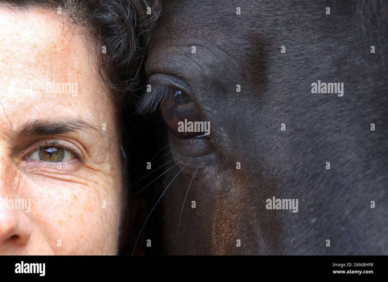 16.07.2022, Germania, bassa Sassonia, Amelinghausen - occhi di cavallo e di donna. 00S220716D588CAROEX.JPG [VERSIONE MODELLO: NO, VERSIONE MODELLO: NO (c) caro ima Foto Stock