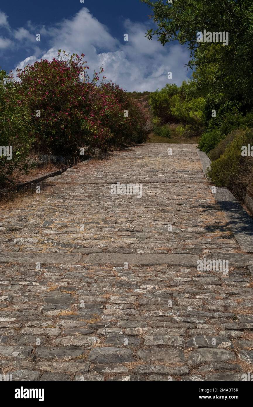 La Via di porta Rosa: Una notevole strada calcarea ellenistica costruita da antichi coloni greci per collegare i quartieri e i due porti di Elea, fondata di fronte al Mar Tirreno all'inizio del 500s a.C. a Marina di Ascea in Campania, nel sud Italia. Il sito della città, noto ai Romani come Velia, è ora un parco archeologico e fa parte di un sito patrimonio dell'umanità dell'UNESCO. Foto Stock