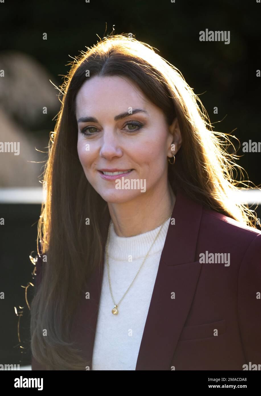 Londra, Regno Unito. 19th Jan, 2023. Gennaio 19th, 2023. Londra, Regno Unito. La Principessa del Galles, patrona della Rugby Football League, ospita un ricevimento per la squadra della England Wheelchair Rugby League, in riconoscimento del loro successo alla recente Coppa del mondo di Rugby League, all'Hampton Court Palace. Credit: Doug Peters/Alamy Live News Foto Stock