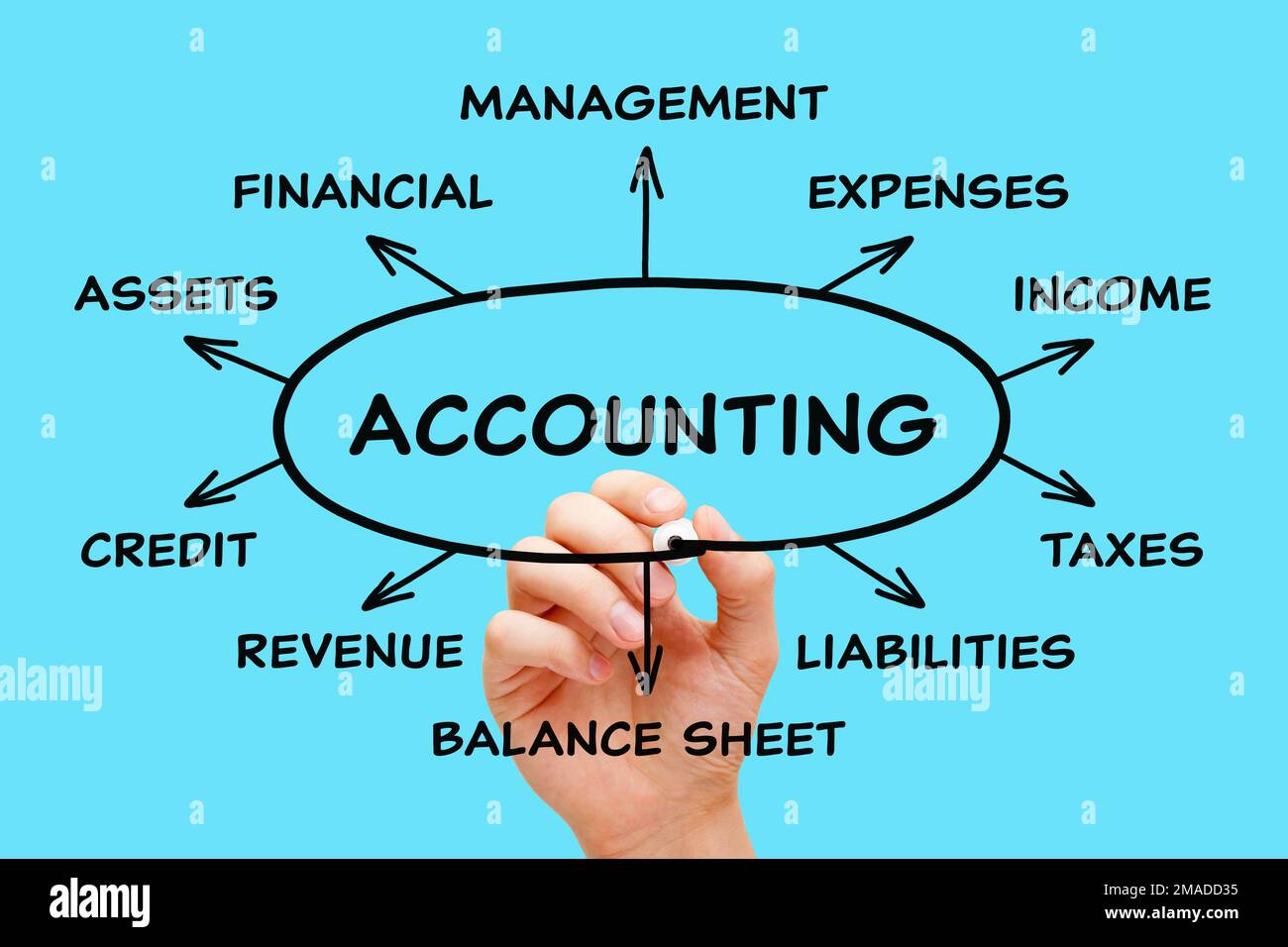 Scrittura a mano contabilità e altre parole correlate nel diagramma di gestione finanziaria. Concetto di contabilità, aiuto fiscale, o servizi di documentazione. Foto Stock