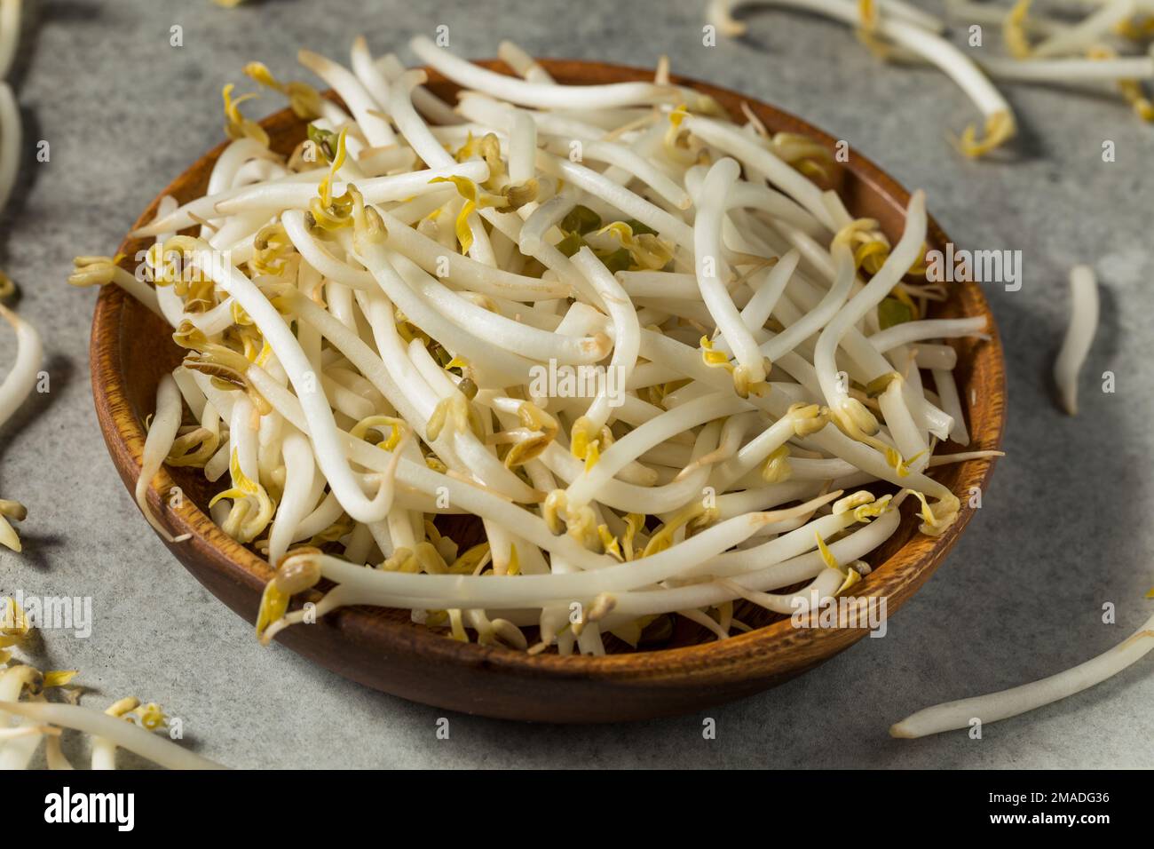 Germogli di fagioli di soia organici bianchi grezzi in una ciotola Foto Stock
