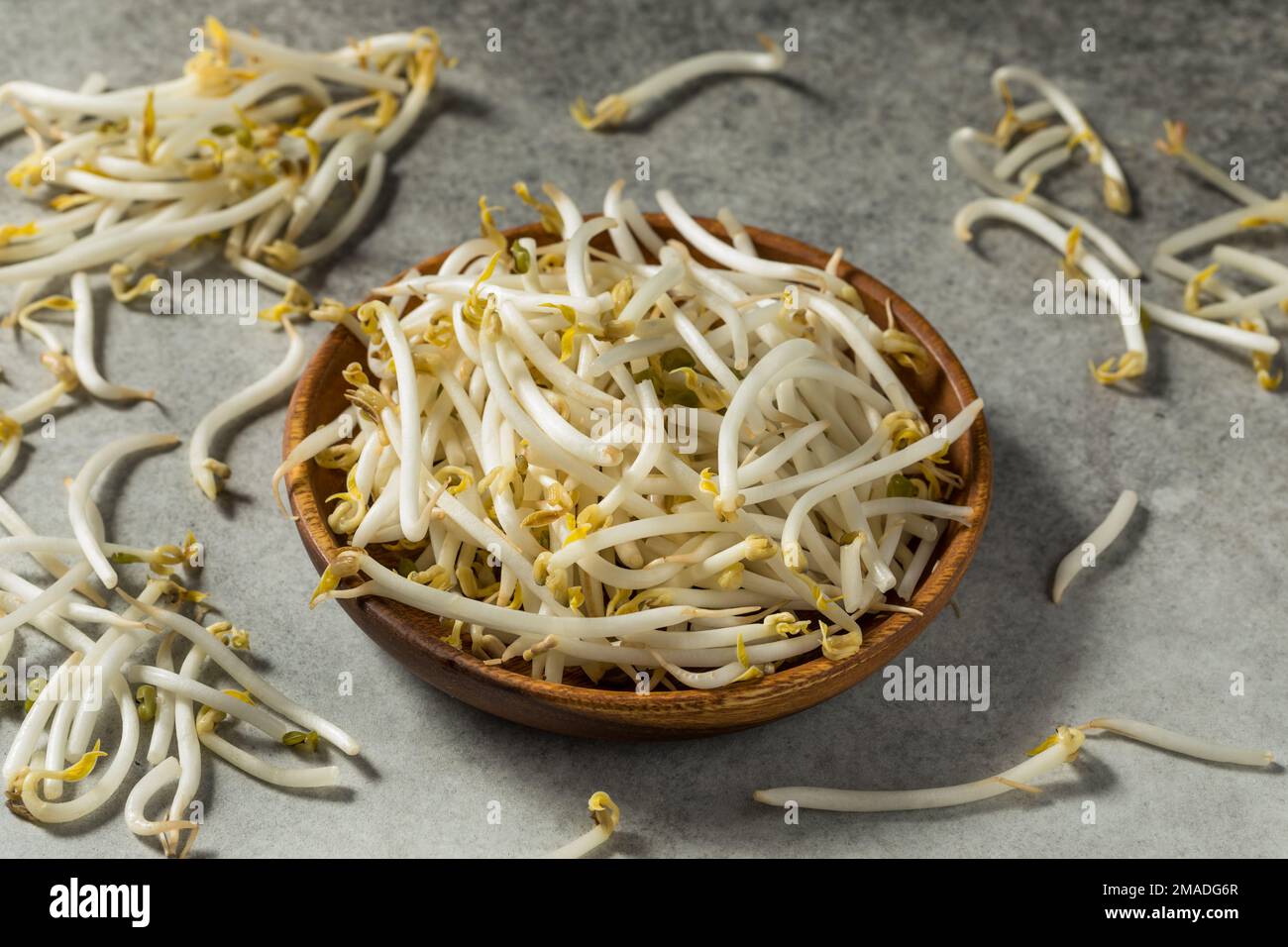Germogli di fagioli di soia organici bianchi grezzi in una ciotola Foto Stock
