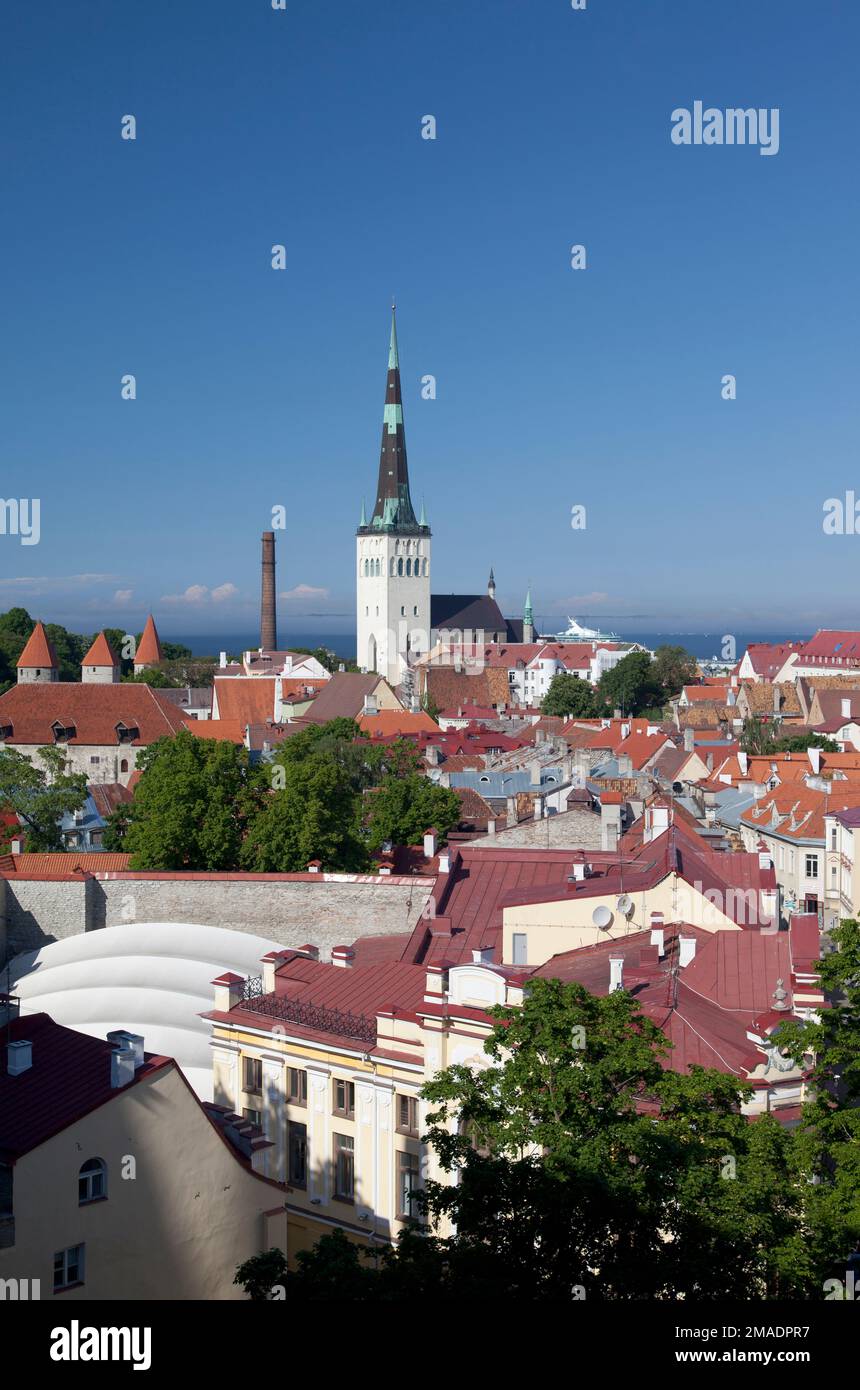 Estonia, Tallinn, vista sulla città vecchia con la St. Olav guglia chiesa. Foto Stock