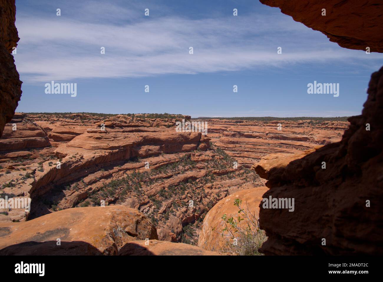 Guardando ad ovest dalle rovine di un'antica fortezza ancestrale di Pueblo in Road Canyon, Bears Ears National Monument Foto Stock