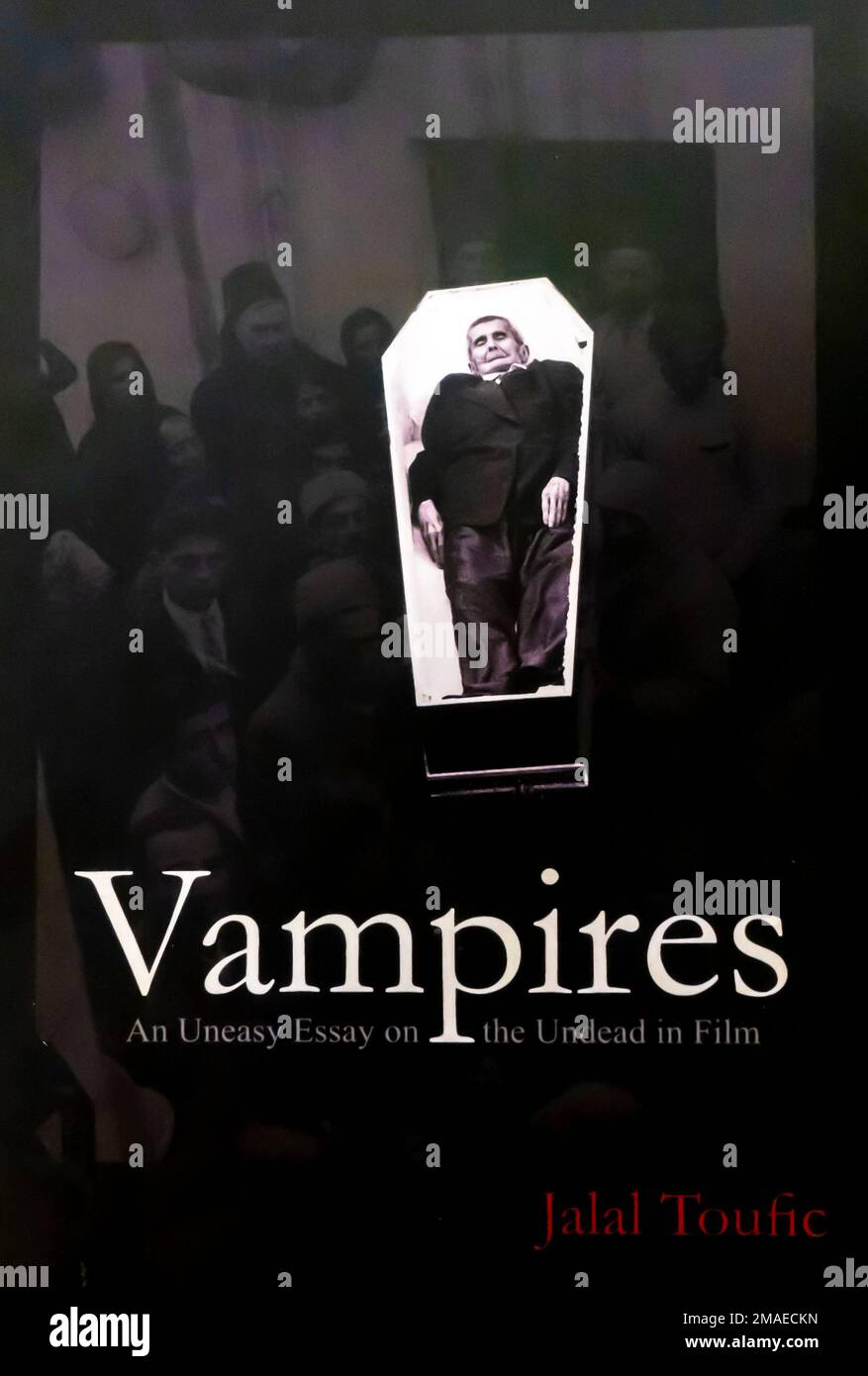 (Vampiri): Un saggio su The Undead in Film è stato pubblicato nel 1993 da edal Toutic Foto Stock