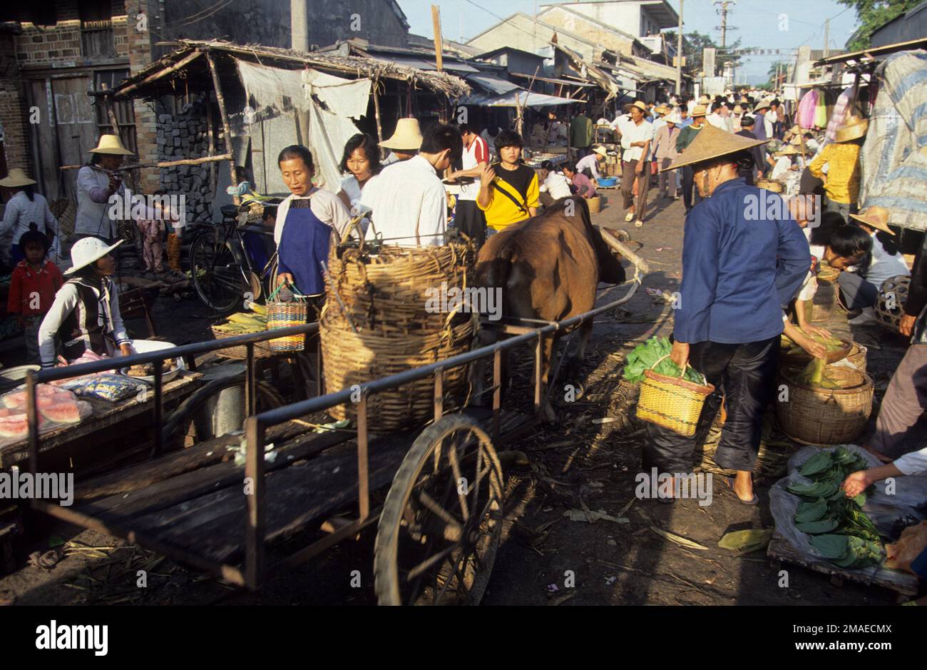 Cina, scena del mercato, Qingping, Cina meridionale. Foto Stock