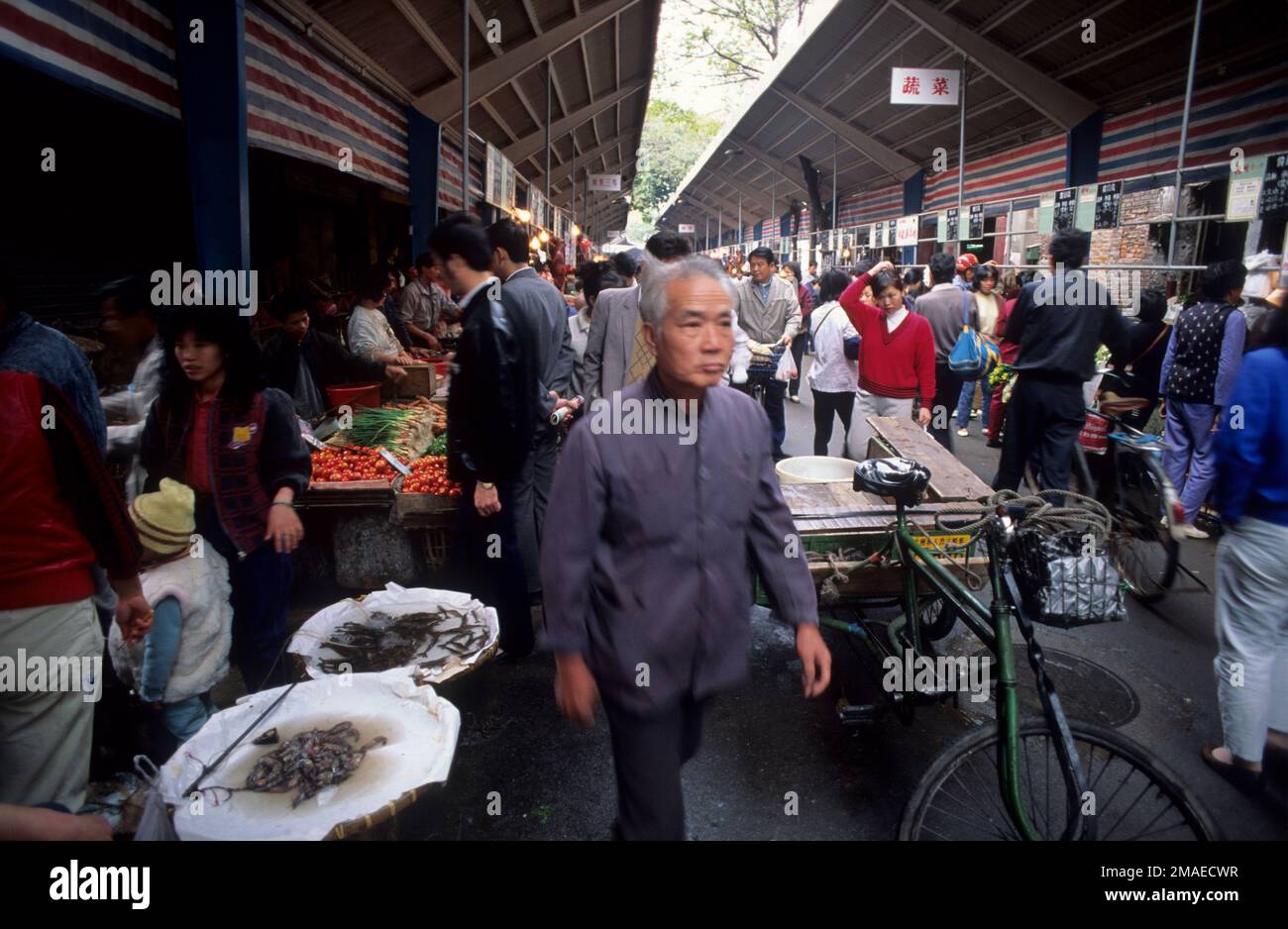 Cina, Canton, mercato Qingping. Foto Stock