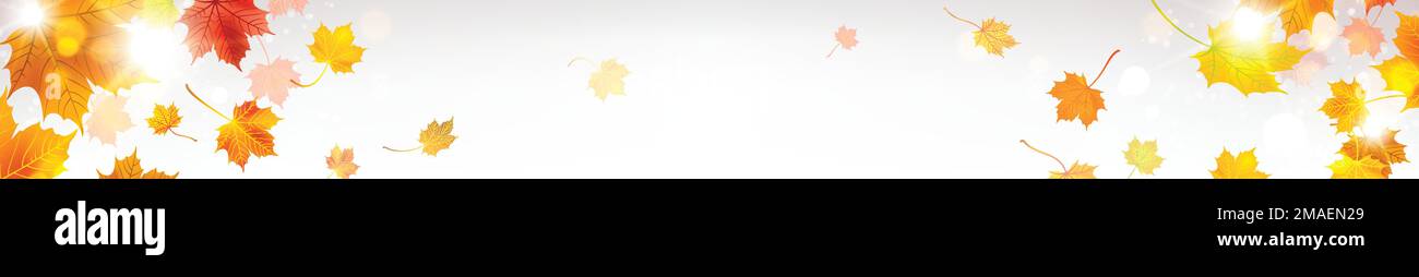 banner orizzontale con foglie autunnali ai raggi del sole Illustrazione Vettoriale