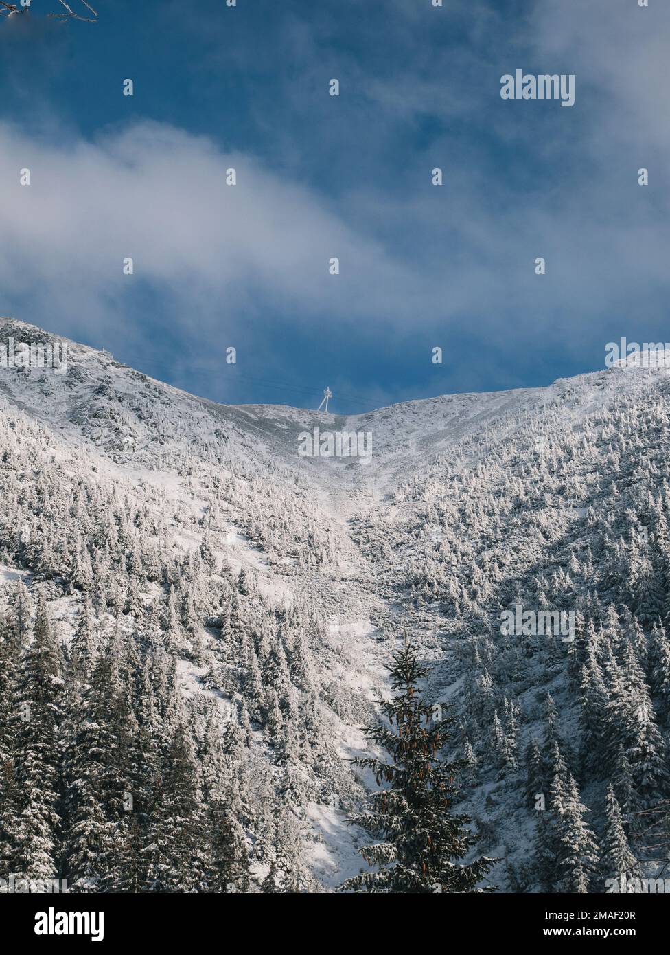 Neve paesaggio invernale e alberi sulla strada per Sněžka, Repubblica Ceca. Foto Stock