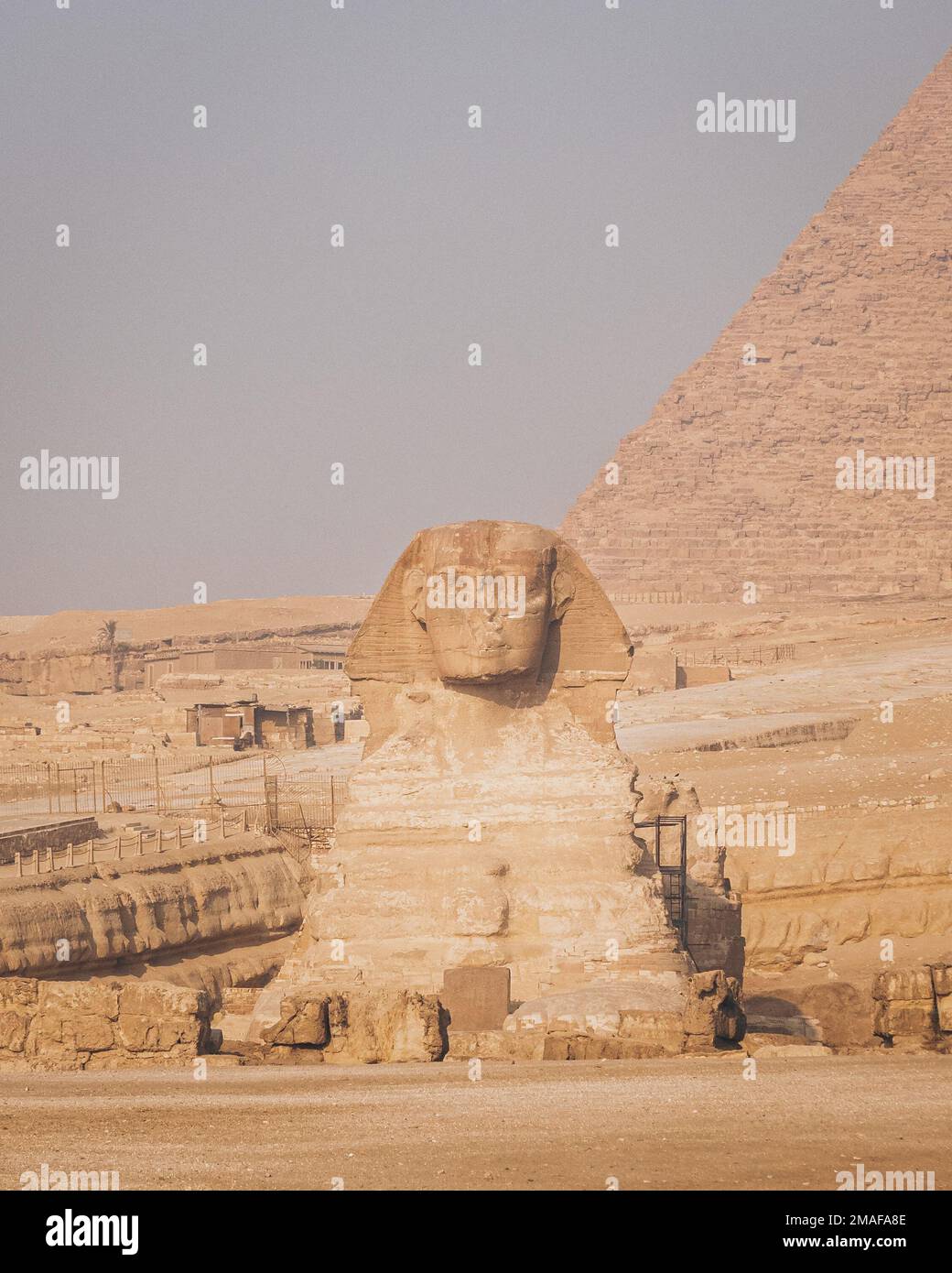 La Sfinge con una piramide sullo sfondo a Giza, il Cairo, Egitto. Foto Stock