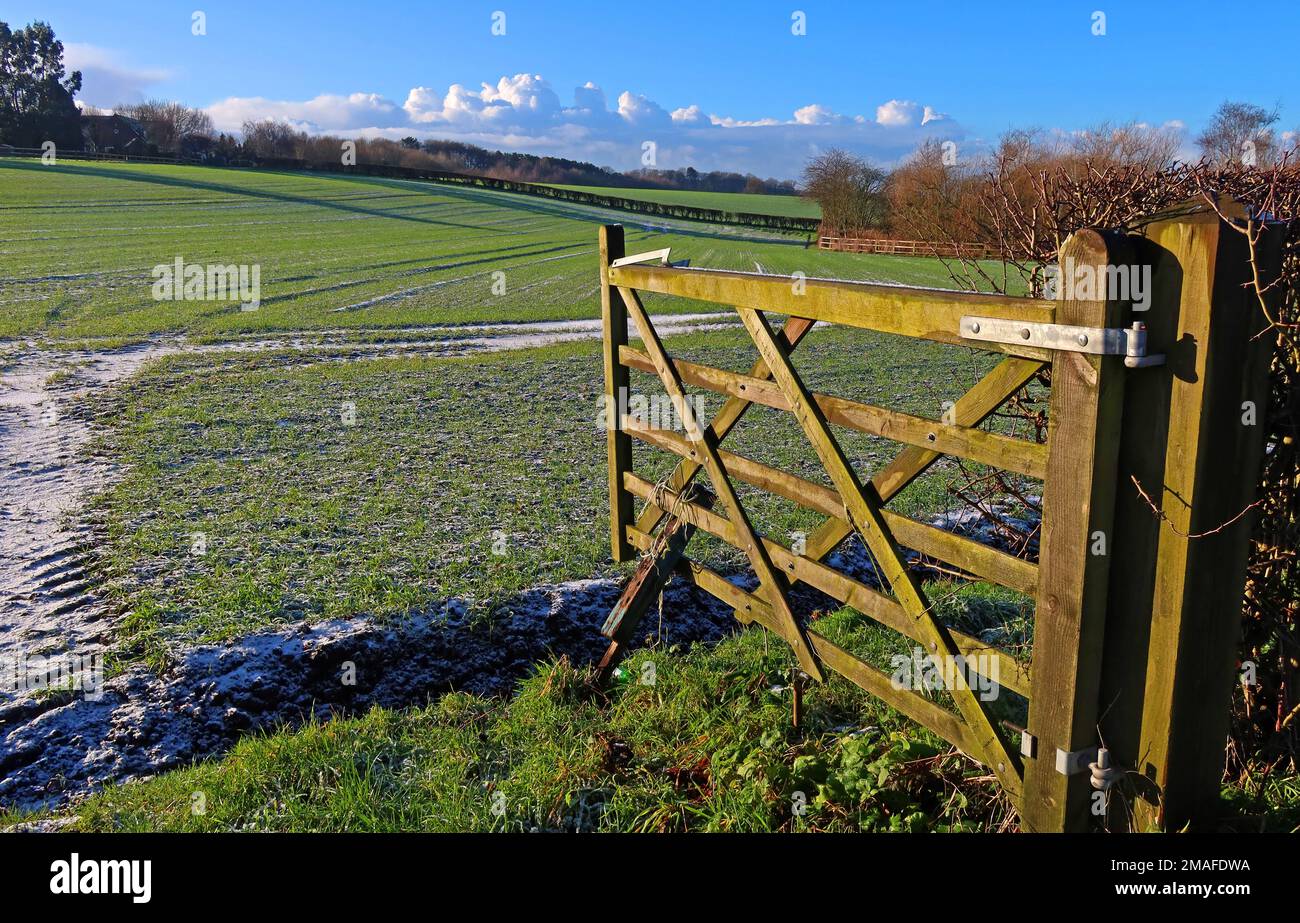 Cancello di legno in inverno, aperto su terra cintura verde, nella campagna del Cheshire, Grappenhall, Warrington, Inghilterra, Regno Unito, WA4 2SJ Foto Stock