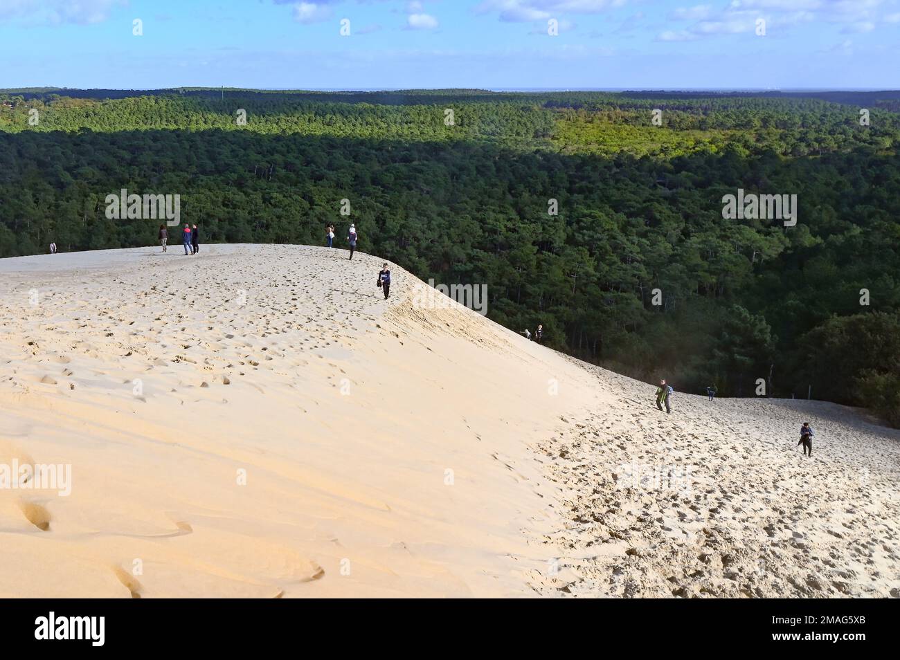 La duna del Pilat (anche: pyla) è la duna di sabbia più alta d'Europa e un grande sito di Francia Foto Stock
