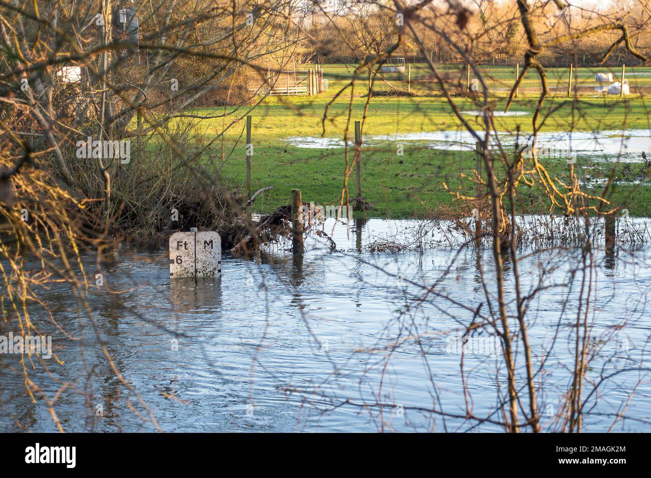 Charvil, Berkshire, Regno Unito. 19th gennaio 2023. Il Land's End Ford a Charvil, Berkshire, è attualmente chiuso al traffico, poiché i livelli dell'acqua hanno raggiunto appena meno di 6 metri di altezza. Il ford è noto per aver causato gli automobilisti di ottenere bloccati in acqua lì. Un allerta alluvione è in atto per il Lower River Loddon alla confluenza del Tamigi compreso Twyford, Charvil e Wargrave. Il pub accanto al Ford chiamato The Heron on the Ford è ancora aperto per affari, anche se il parcheggio sul retro non può essere raggiunto a causa dell'allagamento ford. Credit: Maureen McLean/Alamy Live News Foto Stock