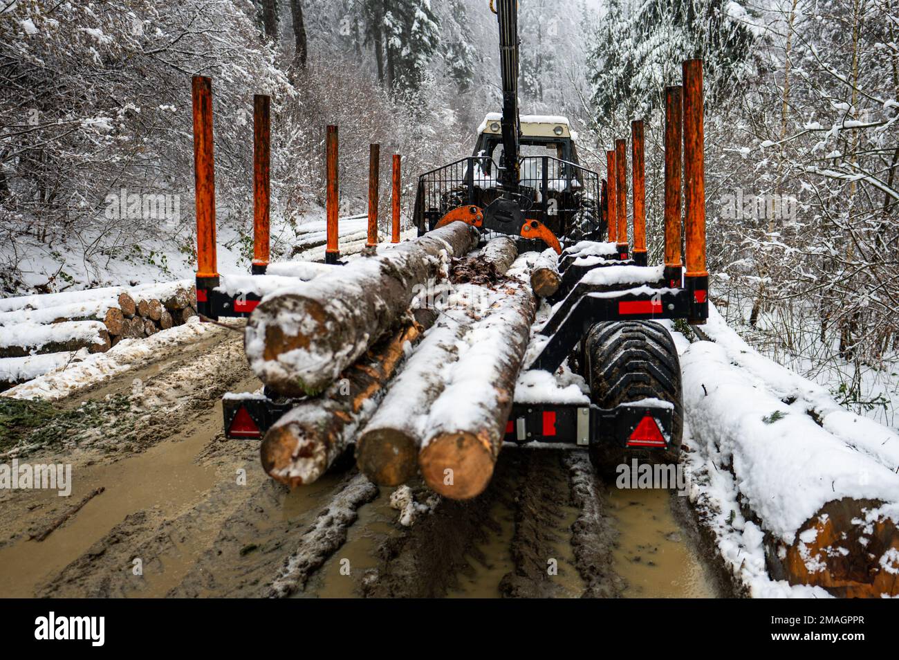 Veicolo fuoristrada 4x4 estremo con catene da neve e fango su ruote  utilizzate per la raccolta del legname nei Carpazi Foto stock - Alamy