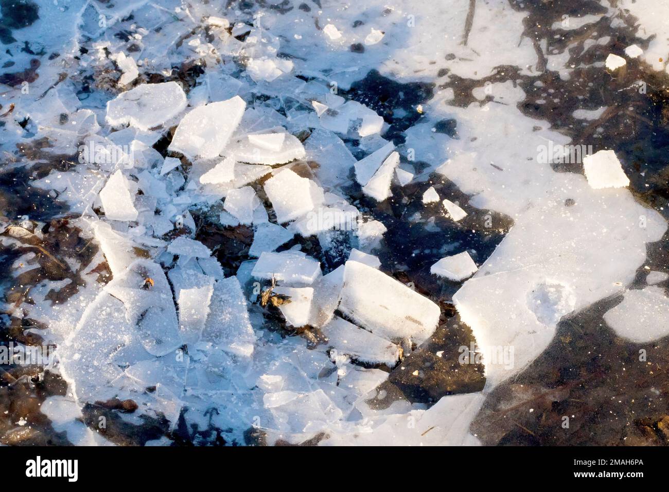 Primo piano di una grande pozzanghera ricoperta di ghiaccio, parte della quale è stata abbattuta in piccoli pezzi di ghiaccio e lasciata sciogliere al sole. Foto Stock