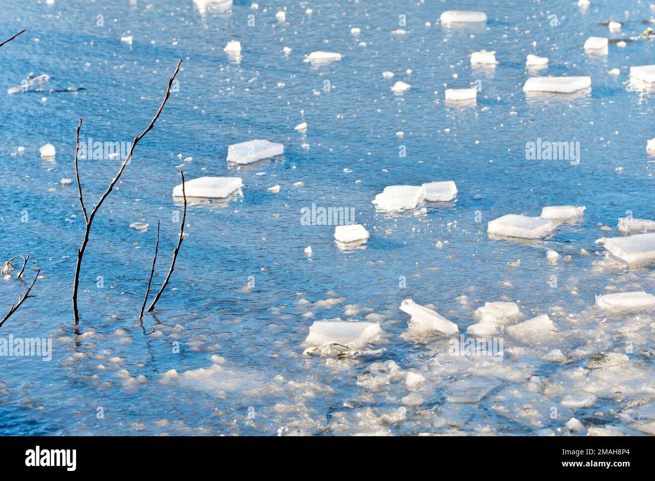 Uno stagno congelato, il ghiaccio che riflette il cielo blu sopra e coperto di pezzi di ghiaccio rotto dal bordo. Rami di albero poke attraverso la superficie. Foto Stock