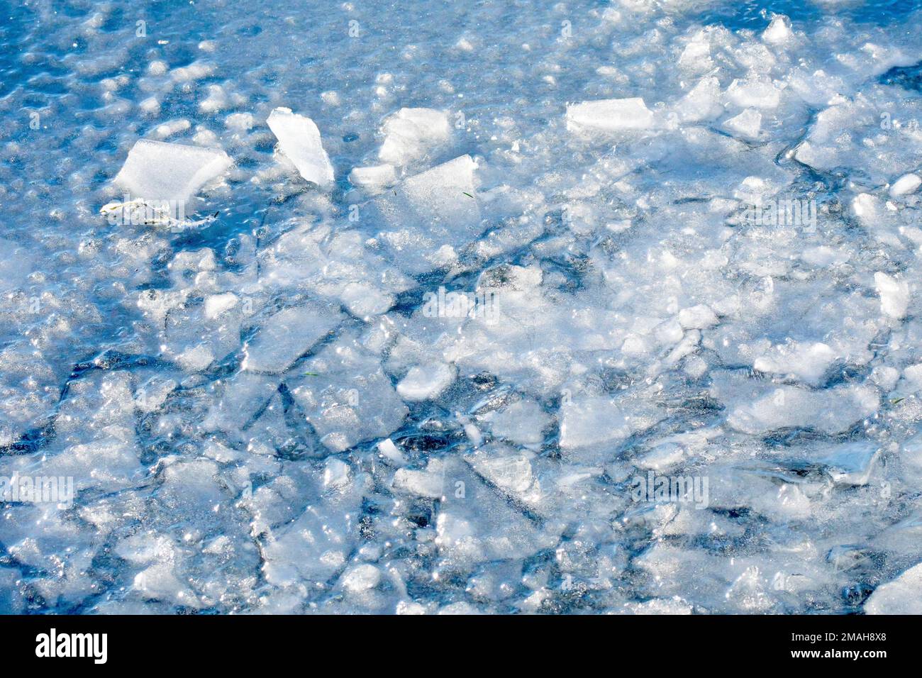 Un laghetto congelato, il ghiaccio si è incrinato e rotto sul bordo dove si è parzialmente scongelato e poi si è nuovamente congelato durante la notte. Foto Stock